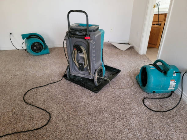  Gaylord, MI Water damage restoration Pros