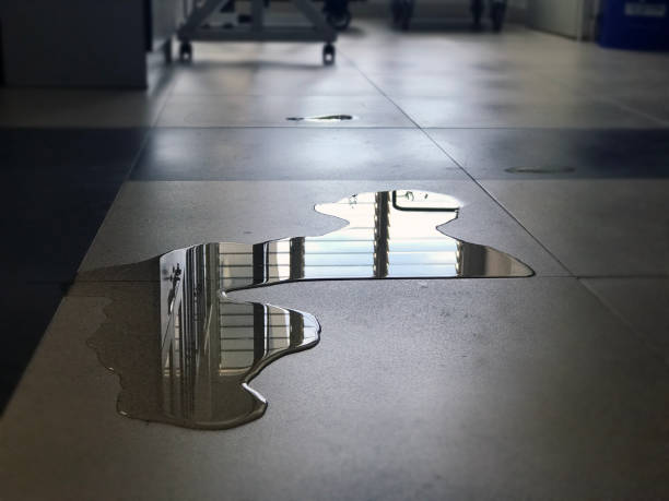 Best Water damage contractors near me  in Gaylord, MI