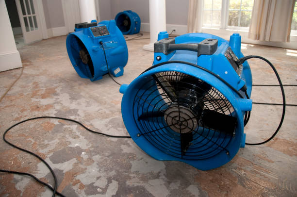 Best Fire Damage Restoration  in Gaylord, MI