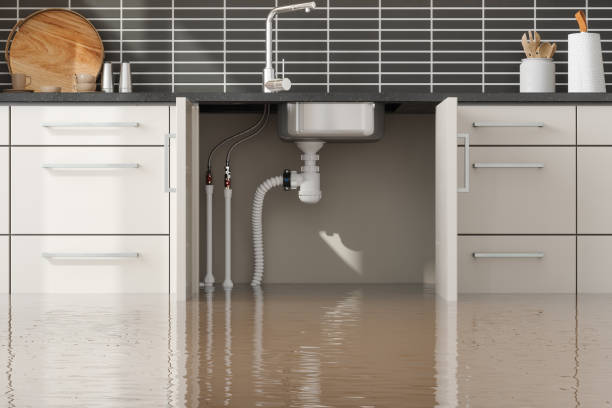 Best Sewage cleanup and water damage restoration  in Gaylord, MI