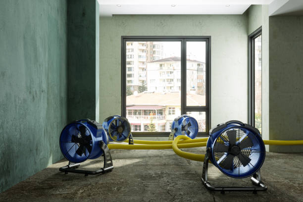 Best 24/7 water damage repair  in Gaylord, MI